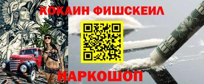 индика Можга
