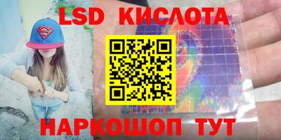индика Можга