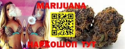 индика Можга