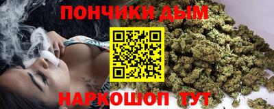 индика Можга