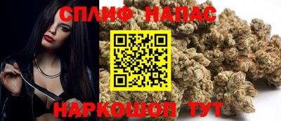индика Можга