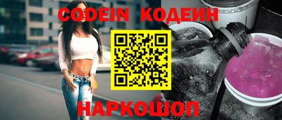 индика Можга