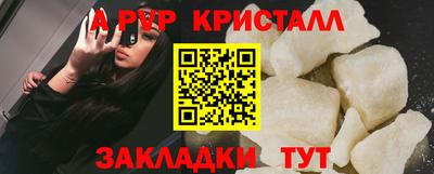 индика Можга